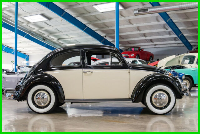 1961 Volkswagen Beetle - Classic 1961 VW Beetle Nicely Restored 2-Owner Bug