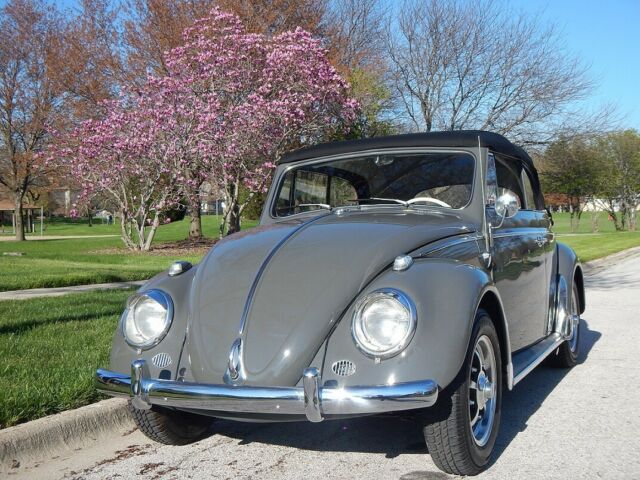 1963 Volkswagen Beetle - Classic Cabriolet