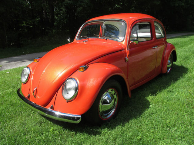 1964 Volkswagen Beetle - Classic Base