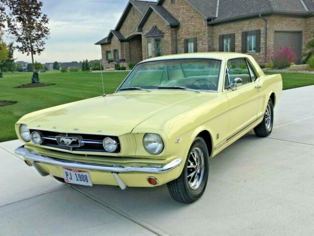 1965 Ford Mustang Vinyl