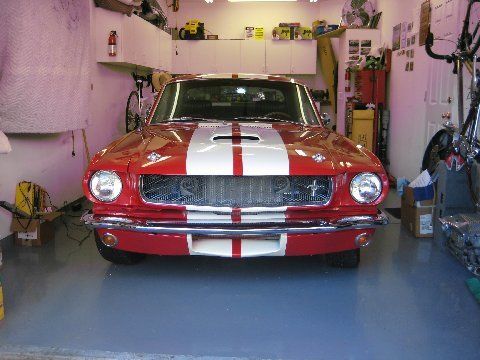 1965 Shelby mustang shelby