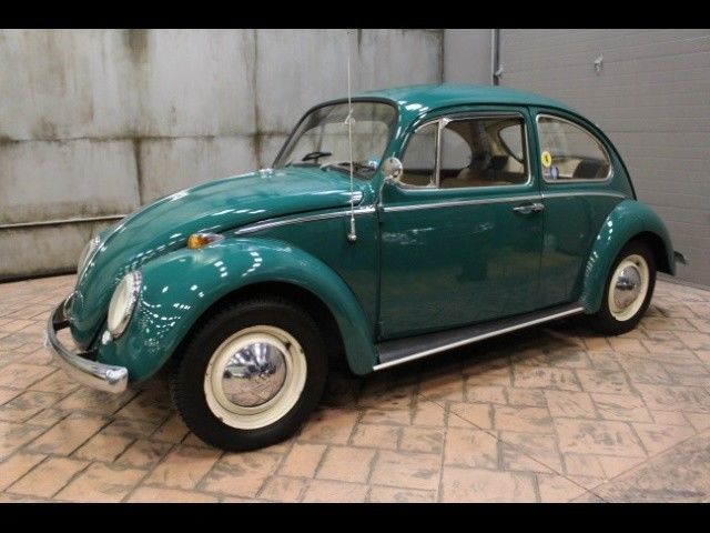 1965 Volkswagen Beetle - Classic beetle