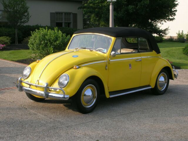 1965 Volkswagen Beetle - Classic Beetle convertible