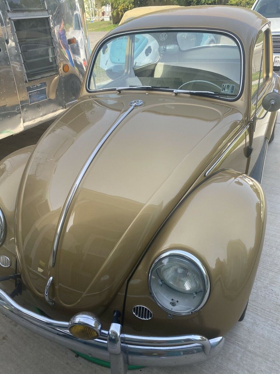 1965 Volkswagen Beetle (Pre-1980) bug
