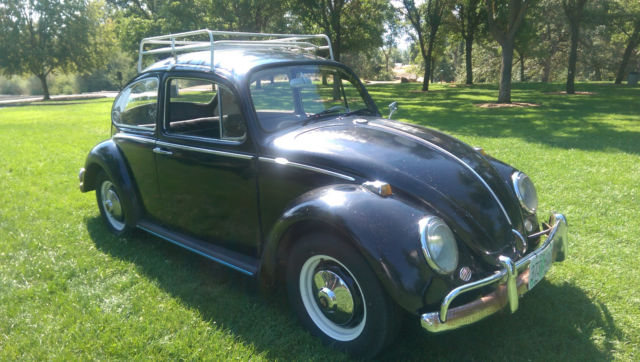 1965 Volkswagen Beetle - Classic Bug