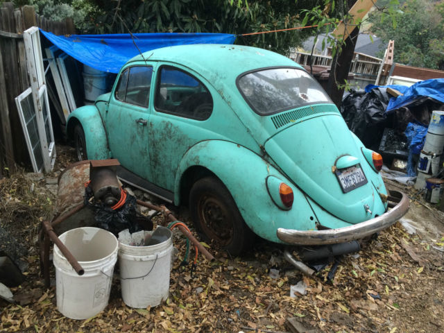 1966 Volkswagen Beetle - Classic bug