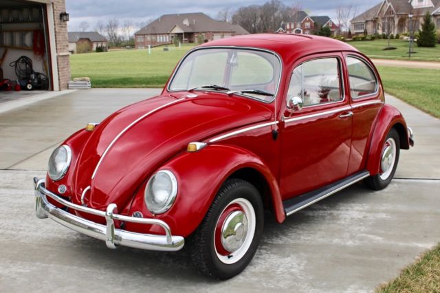 1966 Volkswagon VW Beetle w/ Fresh Engine Rebuild for sale: photos, technical specifications ...