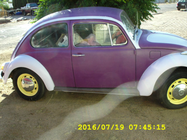 1969 Volkswagen Beetle - Classic hippie type