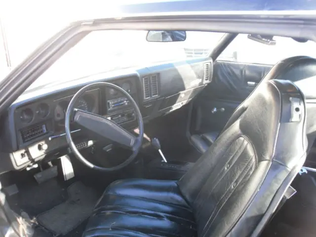 1973 monte carlo interior