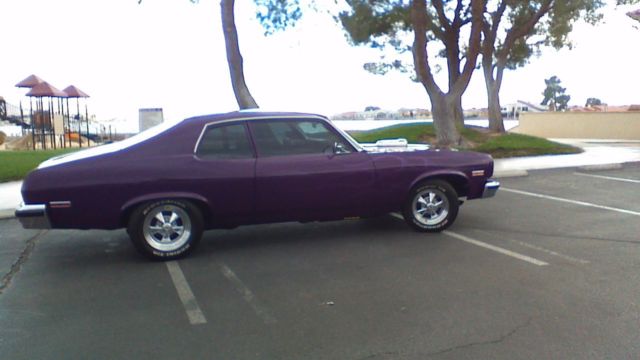 1974 Pontiac Other Custom