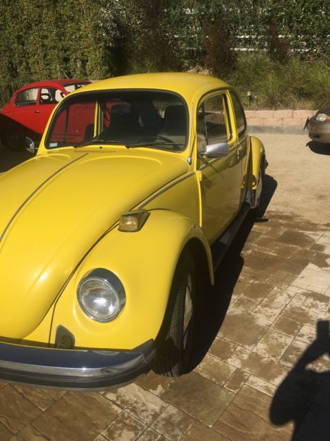 1974 Volkswagen Beetle - Classic BUG