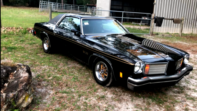 1975 Oldsmobile Cutlass supreme