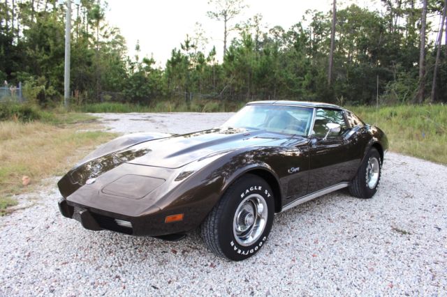 1976 Chevrolet Corvette StingRay L48 T-Top 120+ HD Pictures MUST SEE