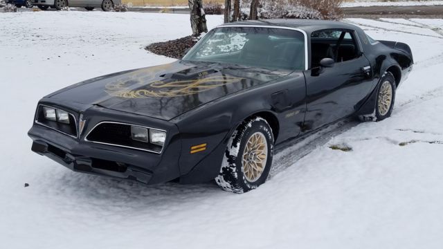 1977 Pontiac Trans Am Deluxe optioned