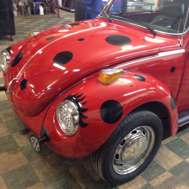 1978 Volkswagen Beetle - Classic Lady bug