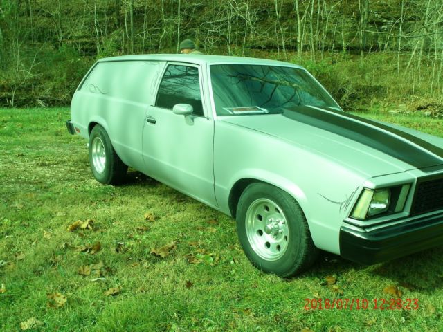 1979 Chevrolet Malibu Custom