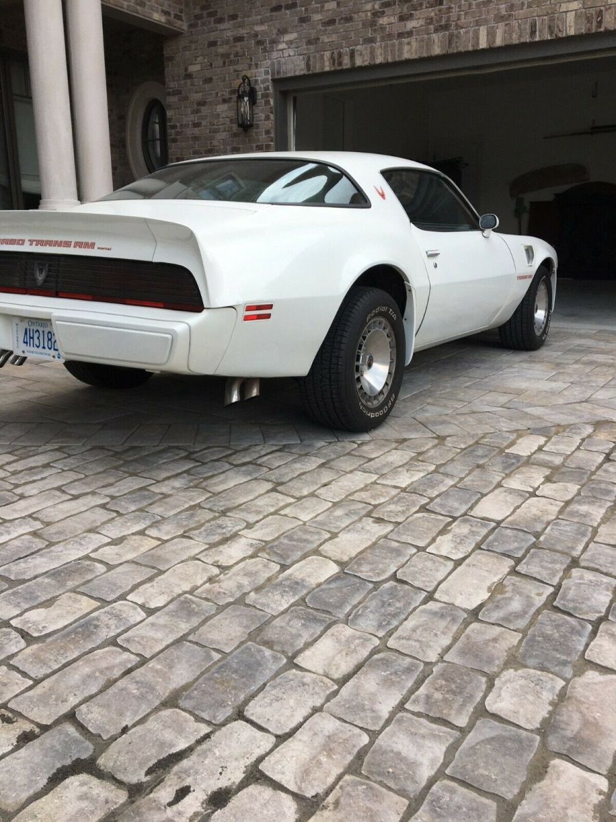 1981 Pontiac Trans Am turbo
