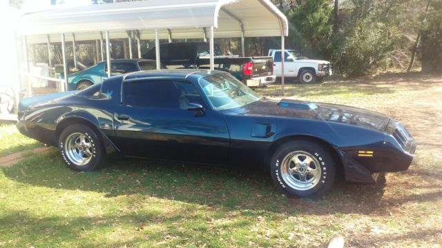 1981 Pontiac Trans Am Sport detailing with fin, T-Bar Roof,