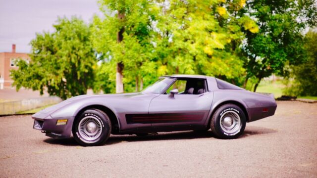 1982 Chevrolet Corvette FREE SHIPPING included in Price <DELIVERED FREE>