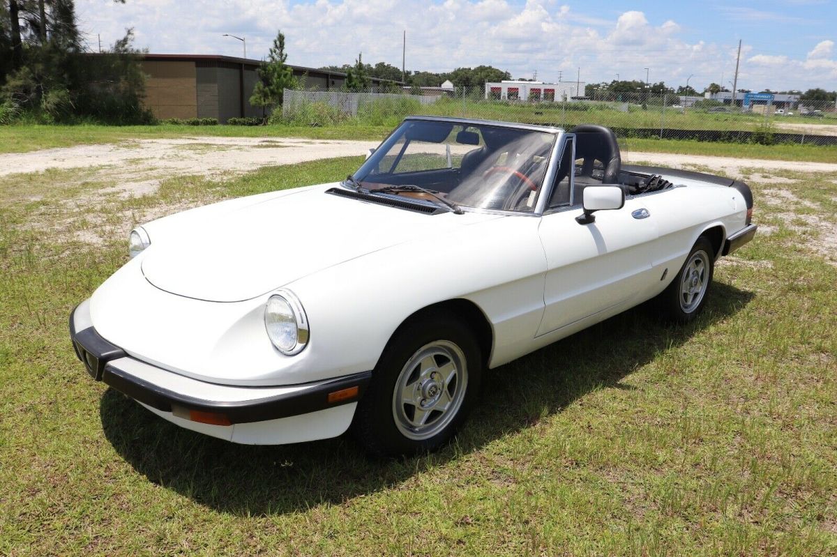 1984 Alfa Romeo Spider Veloce Convertible Must See 80+ HD Pictures