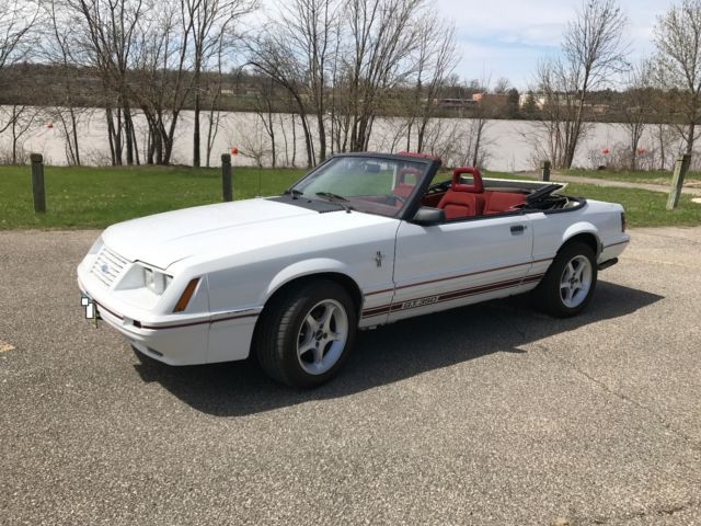1984 Ford Mustang GT-350 20th Anniversary