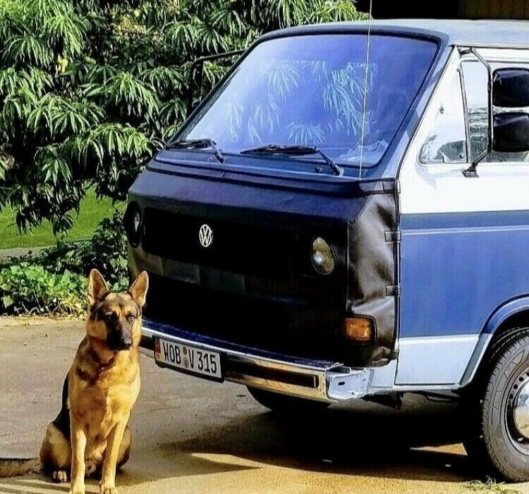 1984 Volkswagen Vanagon BUS