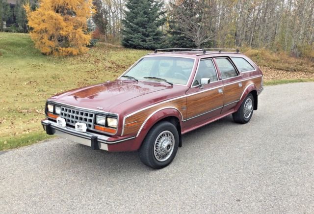 1987 AMC Other Limited