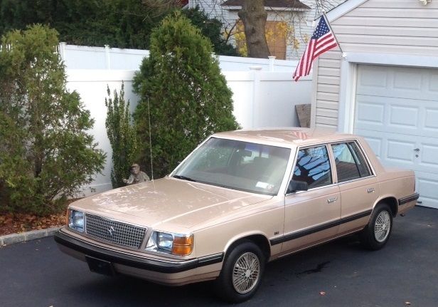 1988 Plymouth Other