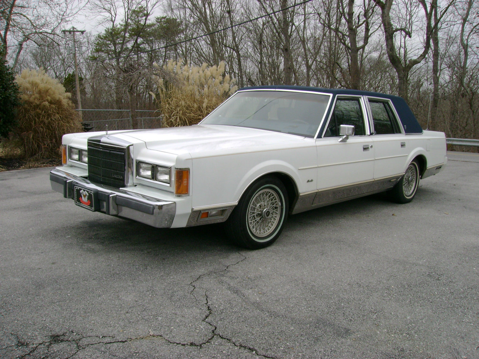 19890000 Lincoln Town Car