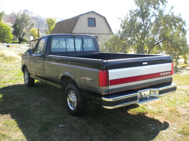 1990 Ford F-150 DELUXE