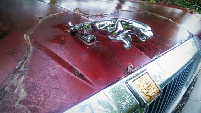 1994 Jaguar XJ12 NDR