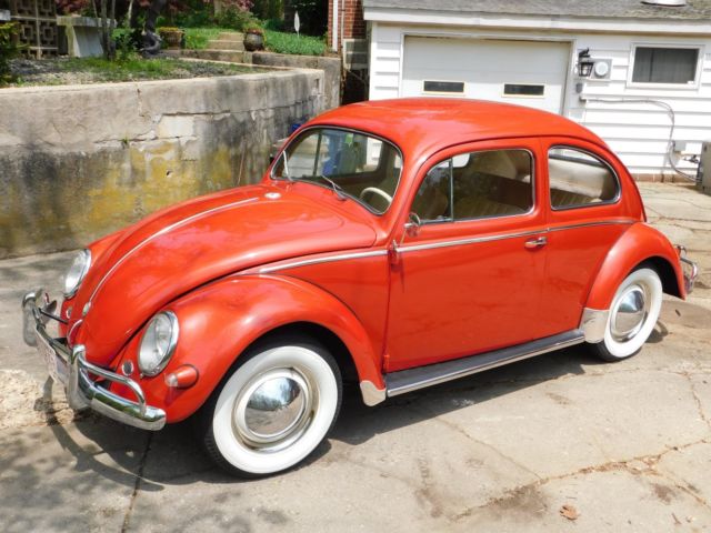 1956 Volkswagen Beetle - Classic Beetle / Bug