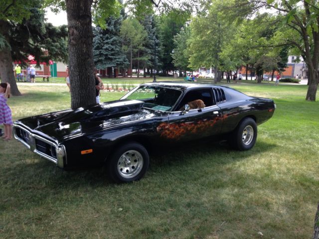 1973 Dodge Charger custom paint air brushed