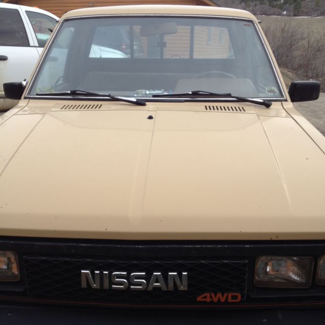 1984 Datsun Other