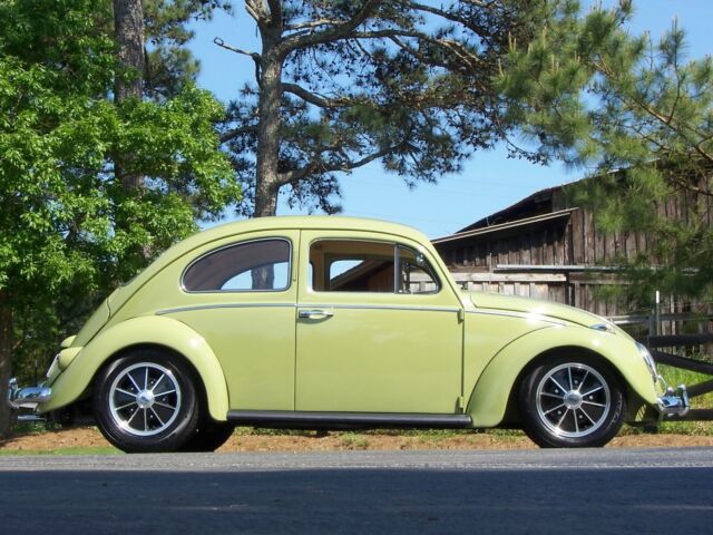 1960 Volkswagen Beetle - Classic European