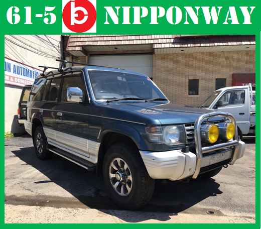 1991 Mitsubishi Pajero/Montero 4x4 Diesel One Owner Roadlegal and Titled