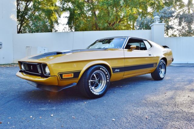 1973 Ford Mustang 2 Door Fastback Coupe