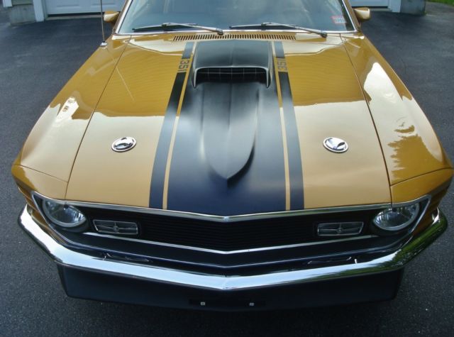 1970 Ford Mustang Muscle Car/  Classic Car/ Antique Car