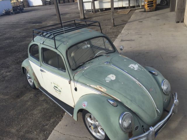 1962 Volkswagen Beetle - Classic Sweet Pea