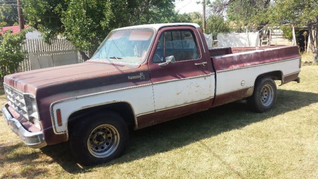 1978 Chevrolet Other Pickups yes