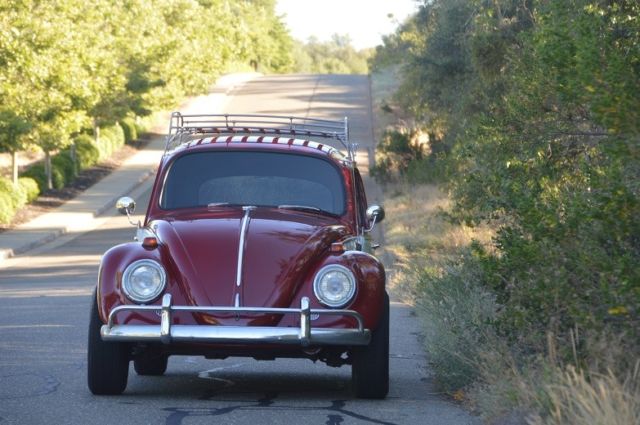 1966 Volkswagen Beetle - Classic Bug - Beautifully Restored - NO RESERVE!