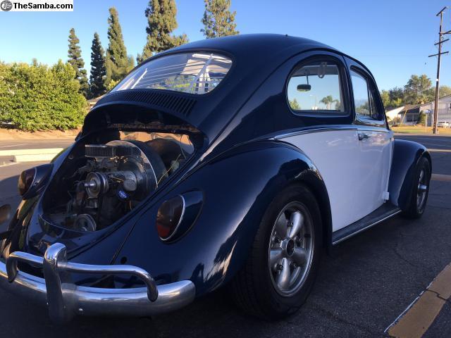 Volkswagen Beetle-1964 Classic Two Tone for sale: photos ...