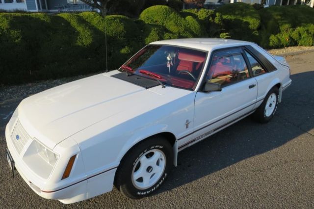 1984 Ford Mustang --