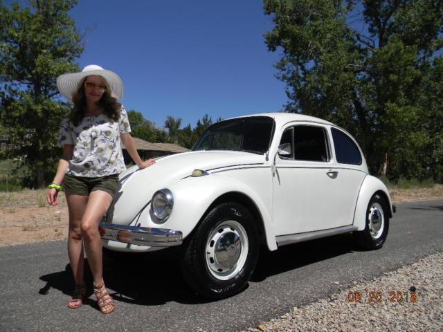 1969 Volkswagen Beetle - Classic not super beetle