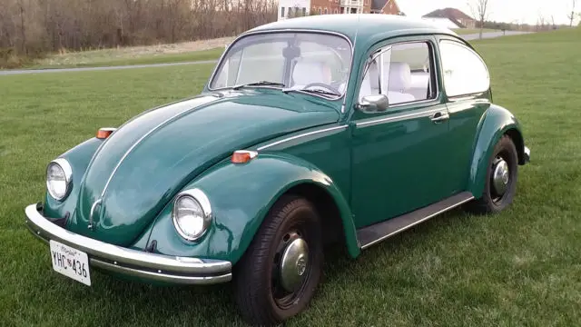 1969 Volkswagen Beetle - Classic