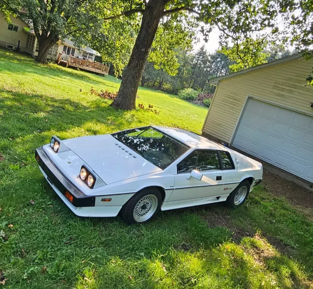 1987 Lotus Esprit