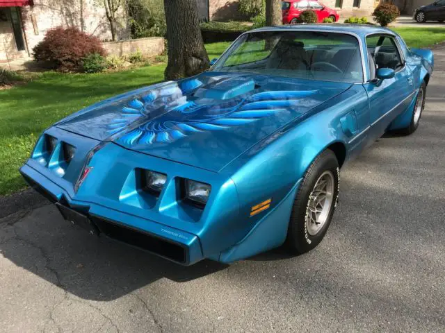 1979 Pontiac Trans Am 6.6L 1-OWNER SURVIVOR,WS6,W72