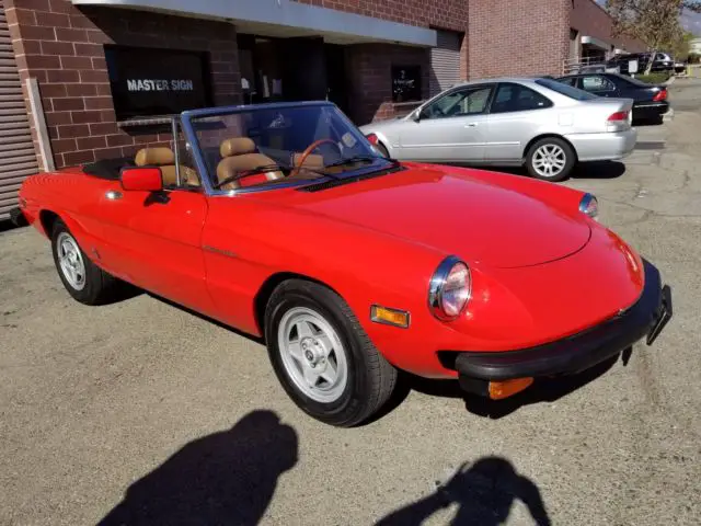 1982 Alfa Romeo Spider