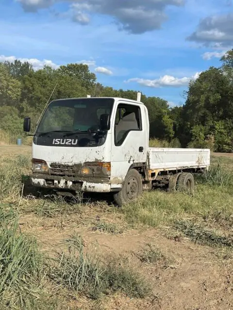 1900 Isuzu ELF JDM RHD