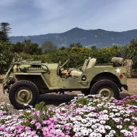 1948 Willys